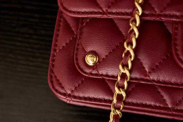 2026131222332825 650